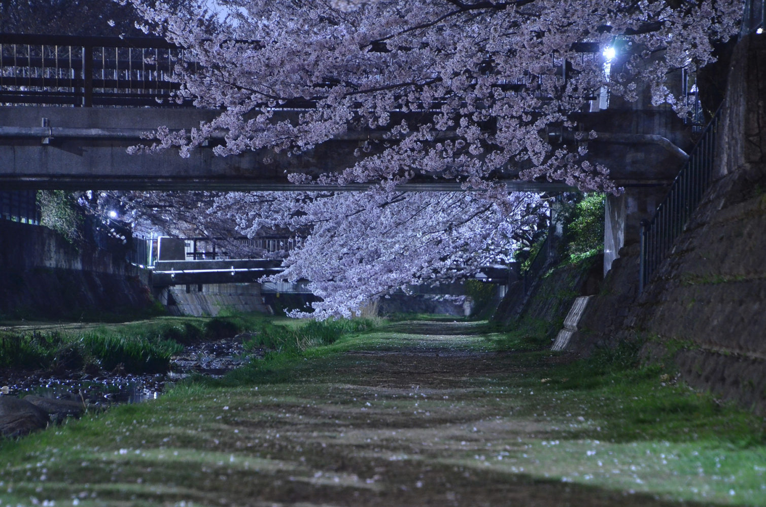 Project Header Image